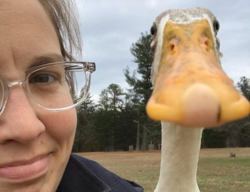 Colleen Earp: Camping, conservation, and chickens