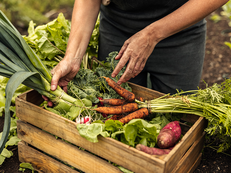 Box of vegetables in a crate.